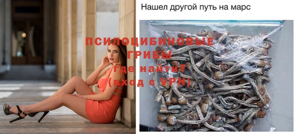 наркотики Приозерск